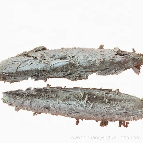 Frozen Natural Tuna Fish Skipjack Loin For Importers